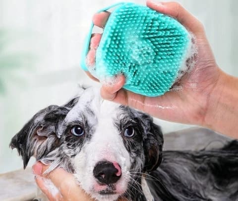 Escova de banho usando no cachorro